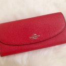 트루코치 이미지