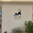 고양이호텔 윤집사 | 강동, 송파구 먼치킨 고양이 호텔 추천 및 가격, 내돈내산 후기 ft. 고양이호텔윤집사 (CCTV, 카카오톡...