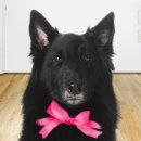 우리함께약국 이미지