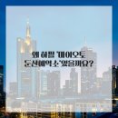 둔산카써비스 이미지