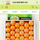 제주 불로초 감귤 이용후기 산도 1% 미만 까지 체크 맛있다
