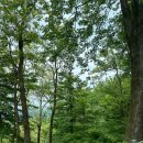 호명호수관광안내소 이미지