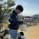 새물목장 이미지