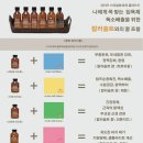 닌페아주