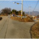 읍내리농로 이미지