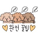 동촌초등학교 육교 밑 이미지