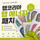 코리아약국 | 햅코리아 햅패치 후기ㅣ바쁜 하루, 간편하게 챙기는 에너지패치
