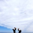 스위트멍 | 한화리조트 평창 멍패커 스위트룸 후기｜반려견과 함께한 여행기