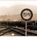 나란히 흐르다 이미지