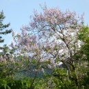 남악사지 이미지