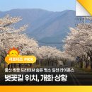 상북면 길천리 길천산업단지 | 울산 벚꽃 드라이브 숨은 명소 길천 라이온스 벚꽃길 위치, 개화 상황