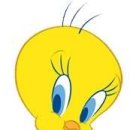 트위티 카카오 검색결과