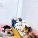 나드리독 이미지