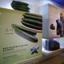 진천군청 이미지