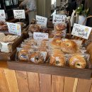 더기베이글(Duggy Bagle)