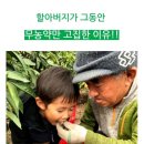 제주물댄동산농장