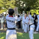 민들레장 이미지