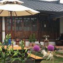 돌담집민박 이미지