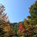 ♡♡♡강방 10월30일 목욜 출석부 ♡♡♡ 이미지