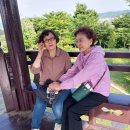 동의한방촌 이미지