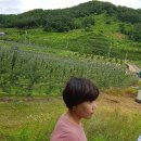 김기영농장 이미지