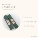 뷰티콩