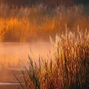 강변에서 이미지