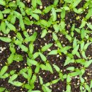 동처농장 이미지