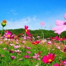 제주우리요양병원 이미지