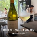 도로명미부여지(B) | 아템스 치치니스 2024 후기 복합미가 느껴지는 프리미엄 소비뇽 블랑 Cicinis
