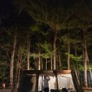 강림초 월현분교장 이미지