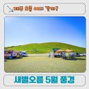 제주 새별오름 후기 l 한라산 풍경이 덤으로 따라오는 제주 오름 여행 추천 코스