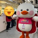 도봉구 대상포진 어르신 예방접종 장소 지정의료기관 병원 주의사항
