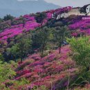 백양산 애진봉 이미지