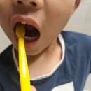 별빛홈케어 - 미추홀구 소성로278번길 7-29 | 어린이 불소치약 추천 유아치약 어린이칫솔 유치 관리, 픽킷 고불소치약으로 집에서 불소도포 홈케어