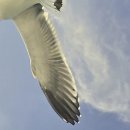 해금강낙원 이미지