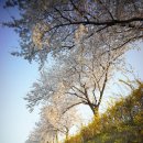 코앤아이시민한의원 이미지