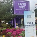 야간)웰빙댄스(특기) | 인제가볼만한곳 인제가을꽃축제장 인제꽃축제2025