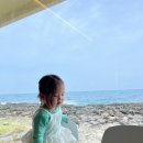 브라운스테이민박 이미지