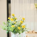 라라다온 이미지