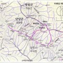 도경약초