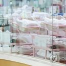 1308 이미지
