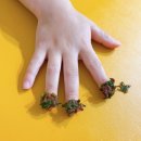 봉숭아손톱 이미지