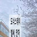 오목천교 | 수원시 최대 벚꽃 군락지 황구지천 놀러 와요