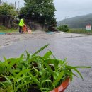 거창주유소 이미지