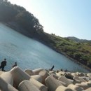 사량뜨라래민박 이미지