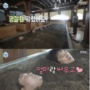 하루효소편백 이미지