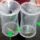 연지민물매운탕 이미지