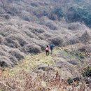 몽돌바다쉼터 이미지