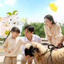 안성 - 서귀포시 추사로 11 | 안성